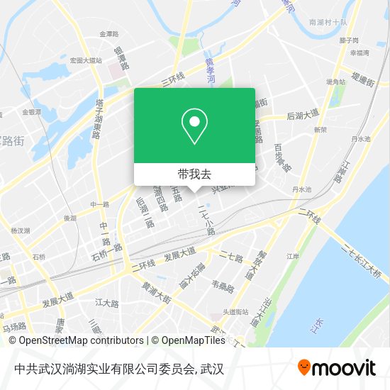 中共武汉淌湖实业有限公司委员会地图