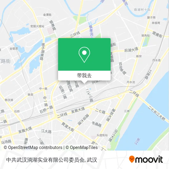 中共武汉淌湖实业有限公司委员会地图