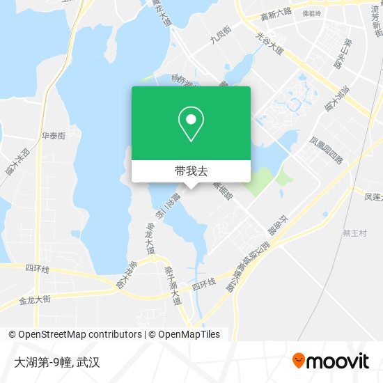 大湖第-9幢地图