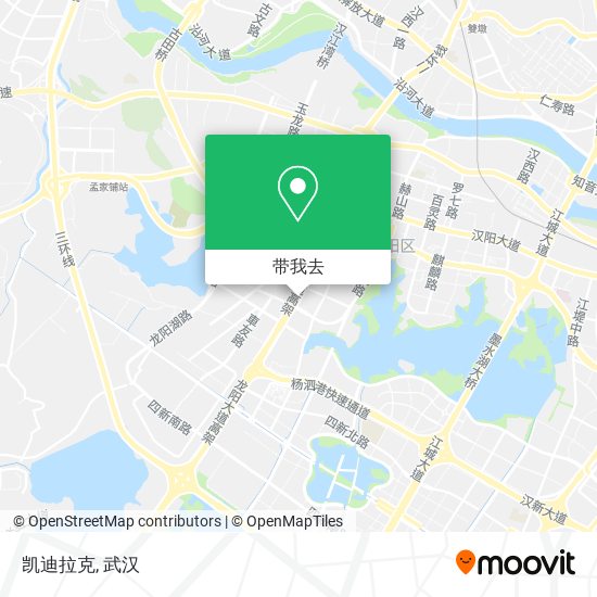 凯迪拉克地图