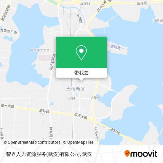 智界人力资源服务(武汉)有限公司地图