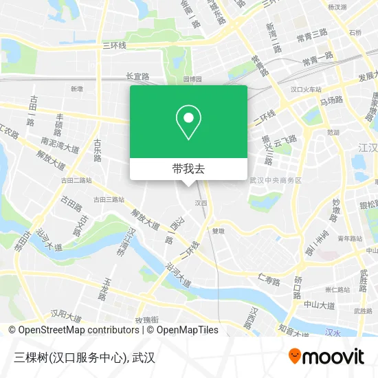 三棵树(汉口服务中心)地图
