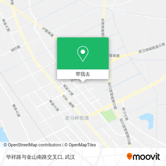 华祥路与金山南路交叉口地图