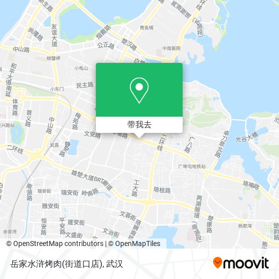 岳家水浒烤肉(街道口店)地图