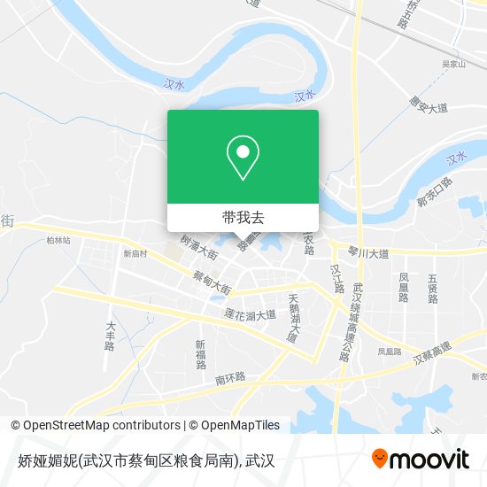 娇娅媚妮(武汉市蔡甸区粮食局南)地图