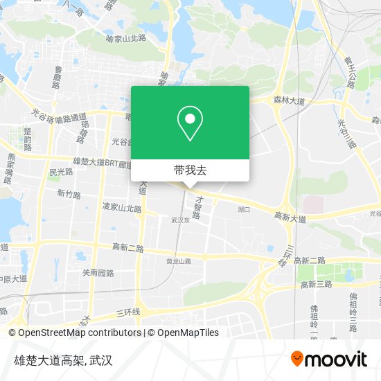 雄楚大道高架地图