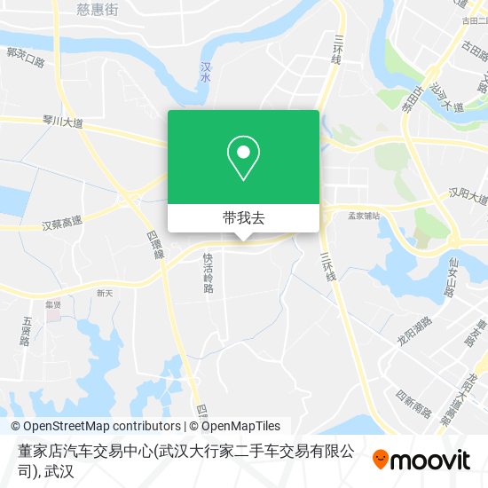 董家店汽车交易中心(武汉大行家二手车交易有限公司)地图
