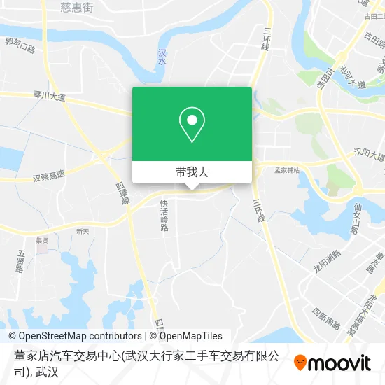 董家店汽车交易中心(武汉大行家二手车交易有限公司)地图