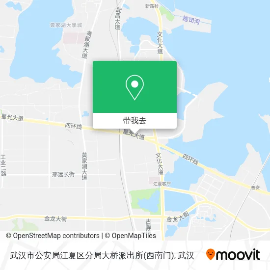 武汉市公安局江夏区分局大桥派出所(西南门)地图