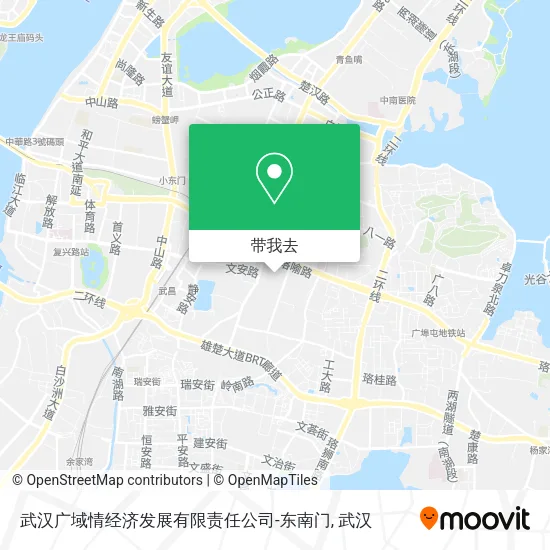 武汉广域情经济发展有限责任公司-东南门地图