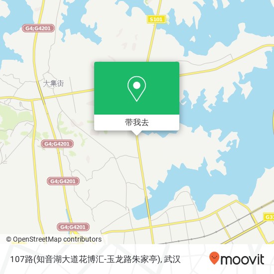 107路(知音湖大道花博汇-玉龙路朱家亭)地图
