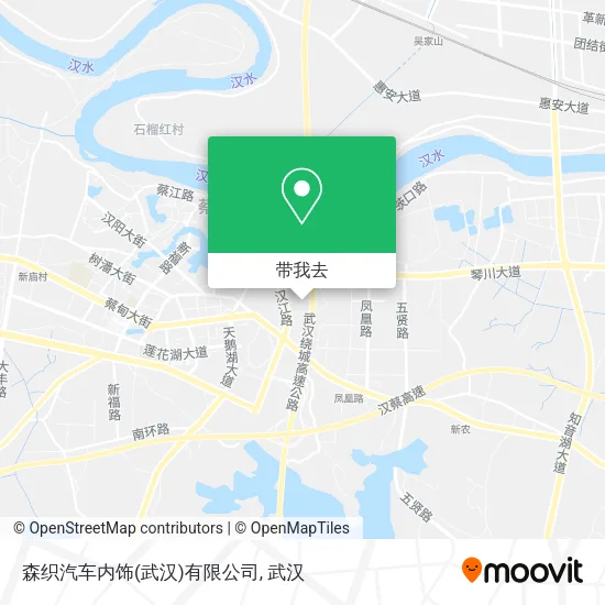 森织汽车内饰(武汉)有限公司地图