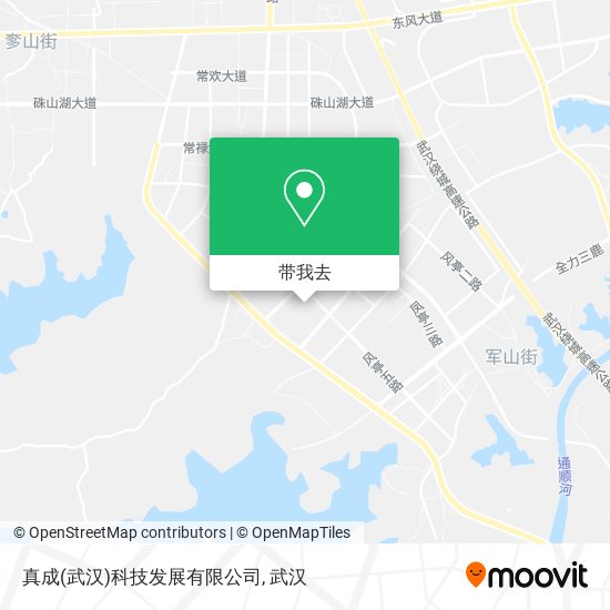 真成(武汉)科技发展有限公司地图