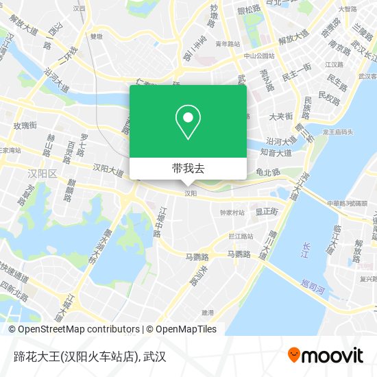 蹄花大王(汉阳火车站店)地图