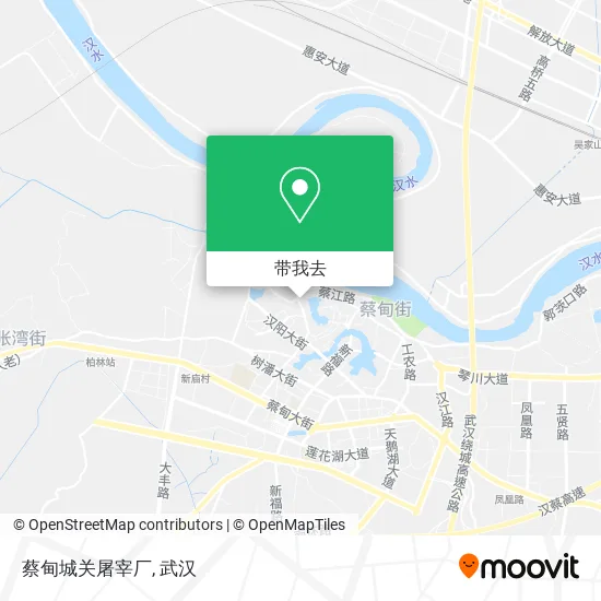 蔡甸城关屠宰厂地图