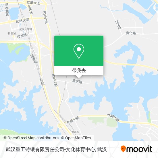 武汉重工铸锻有限责任公司-文化体育中心地图