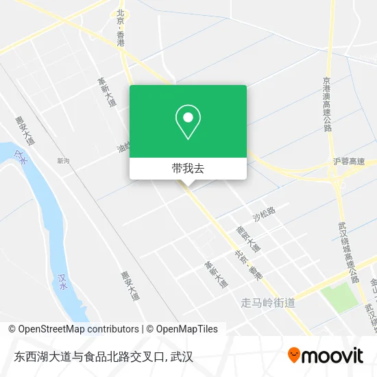 东西湖大道与食品北路交叉口地图