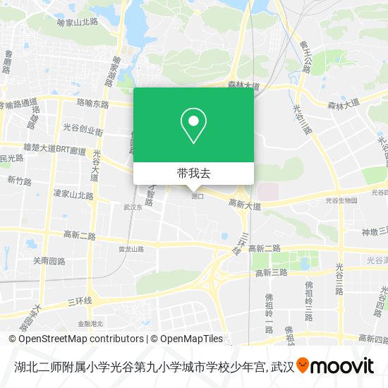 湖北二师附属小学光谷第九小学城市学校少年宫地图