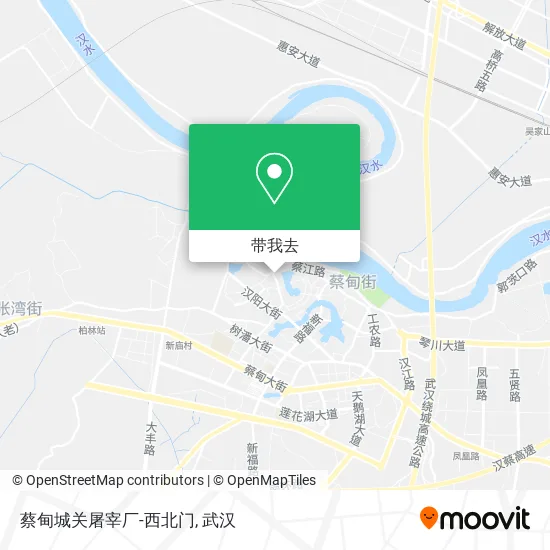 蔡甸城关屠宰厂-西北门地图