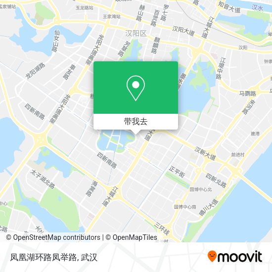 凤凰湖环路凤举路地图