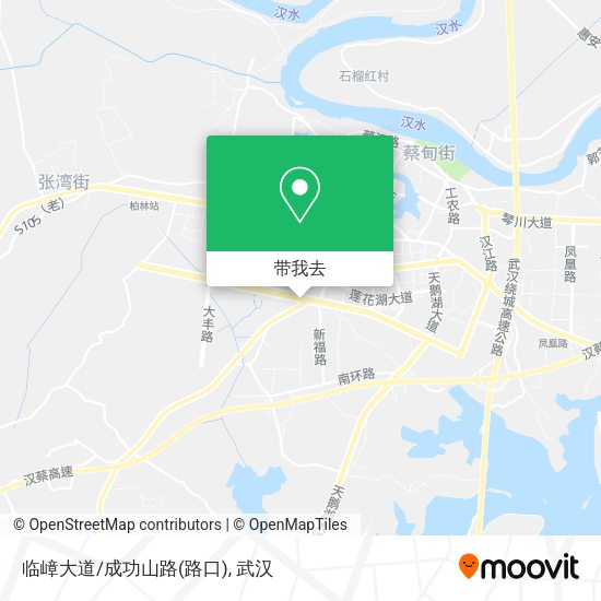 临嶂大道/成功山路(路口)地图
