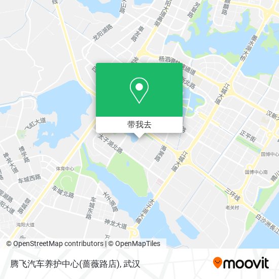 腾飞汽车养护中心(蔷薇路店)地图