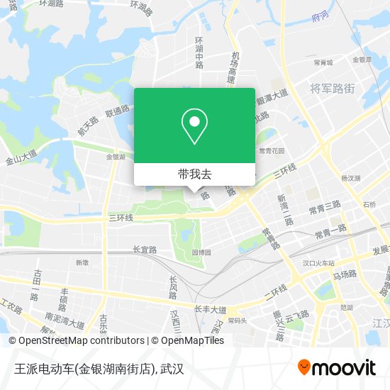 王派电动车(金银湖南街店)地图