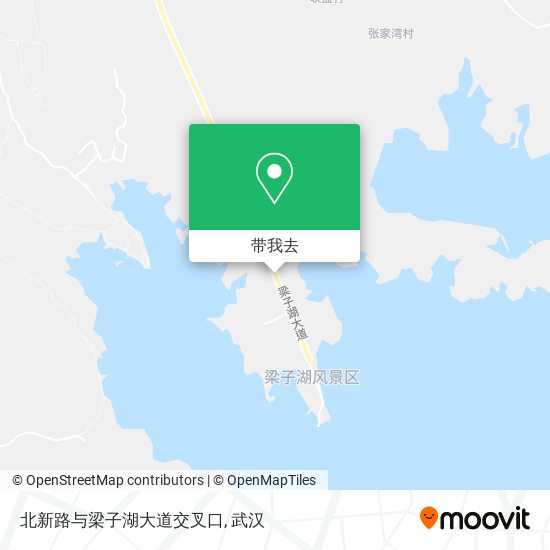 北新路与梁子湖大道交叉口地图