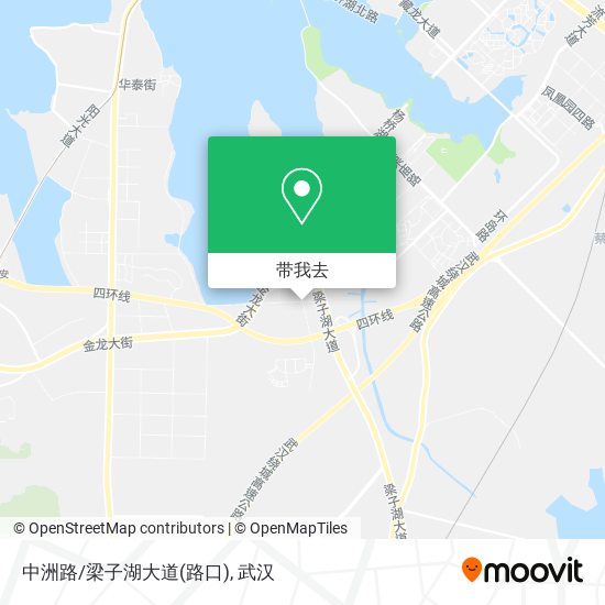 中洲路/梁子湖大道(路口)地图