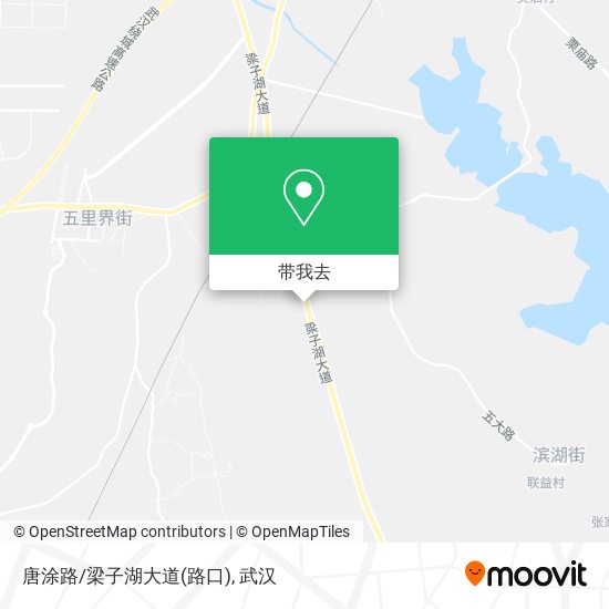 唐涂路/梁子湖大道(路口)地图