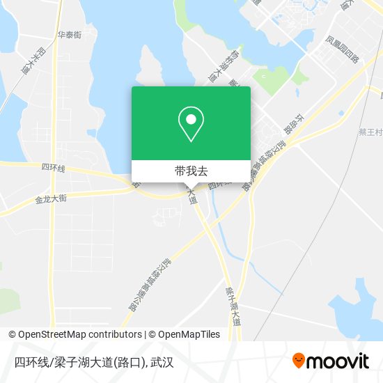 四环线/梁子湖大道(路口)地图