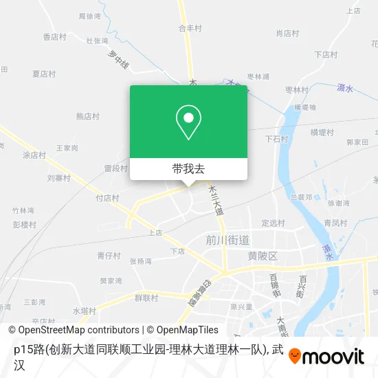 p15路(创新大道同联顺工业园-理林大道理林一队)地图