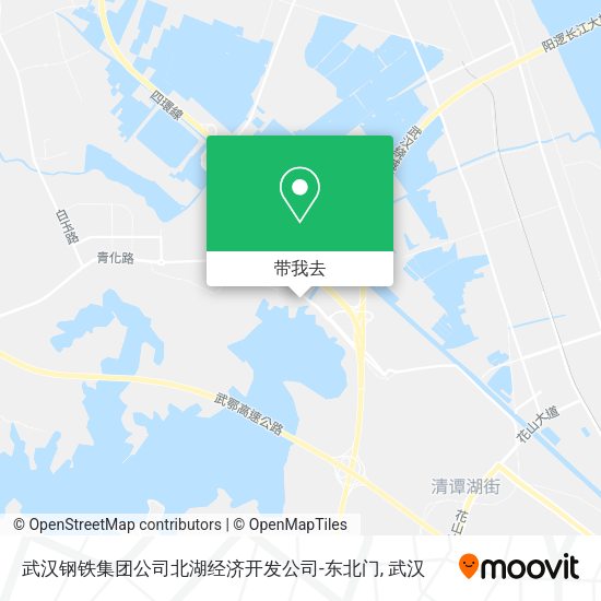 武汉钢铁集团公司北湖经济开发公司-东北门地图