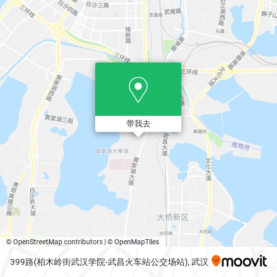 399路(柏木岭街武汉学院-武昌火车站公交场站)地图