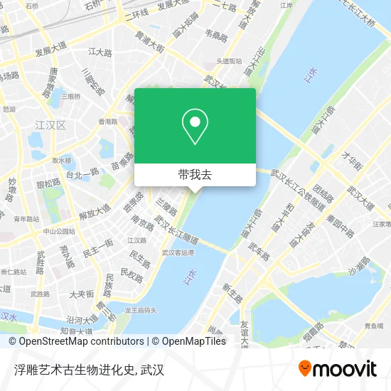 浮雕艺术古生物进化史地图