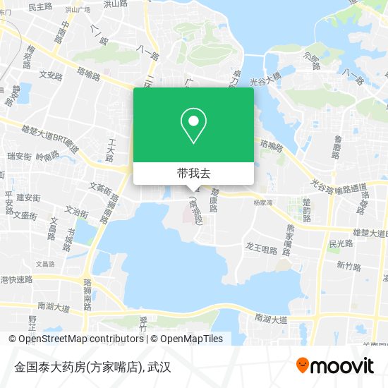 金国泰大药房(方家嘴店)地图