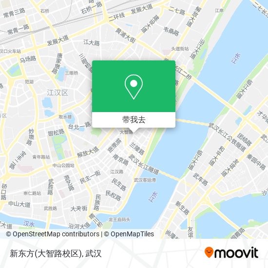 新东方(大智路校区)地图