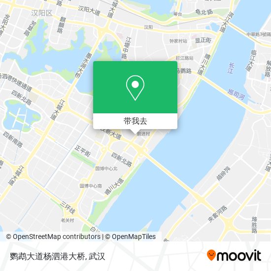 鹦鹉大道杨泗港大桥地图