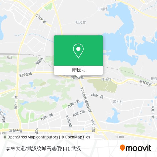 森林大道/武汉绕城高速(路口)地图