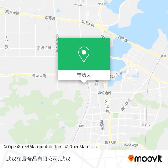 武汉柏辰食品有限公司地图