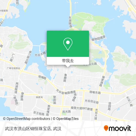 武汉市洪山区锦恒珠宝店地图