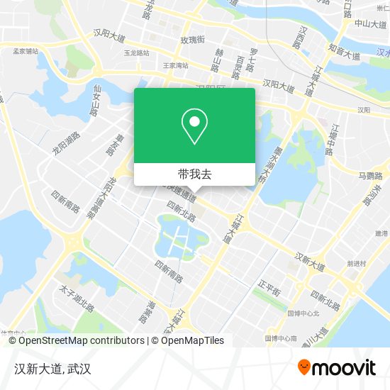 汉新大道地图
