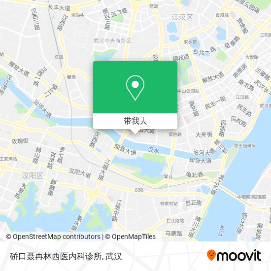 硚口聂再林西医内科诊所地图
