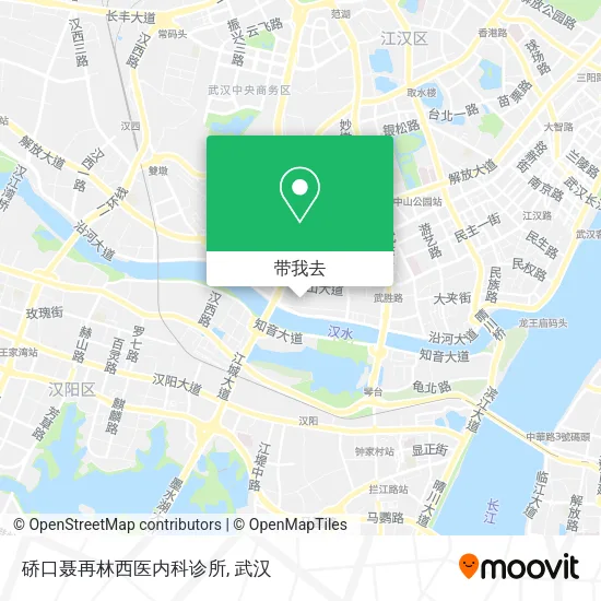 硚口聂再林西医内科诊所地图