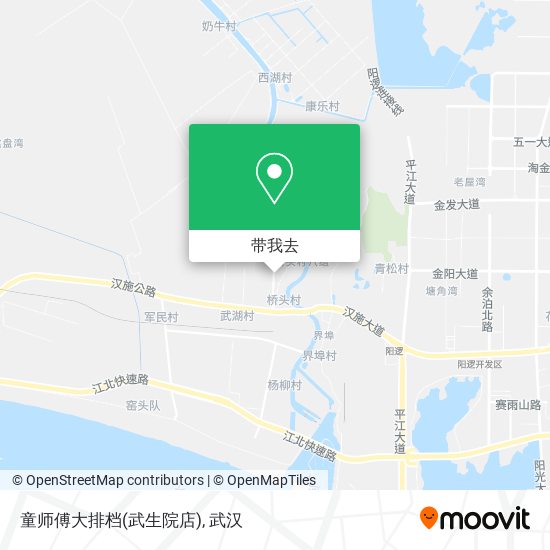 童师傅大排档(武生院店)地图