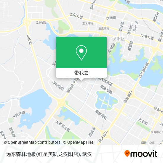 远东森林地板(红星美凯龙汉阳店)地图