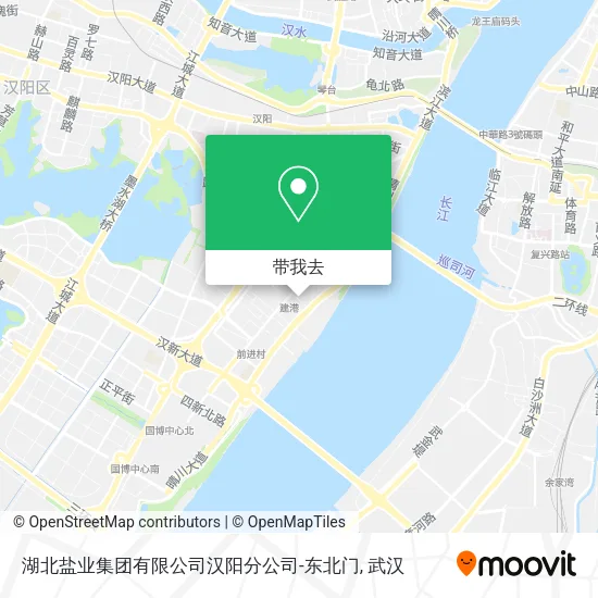 湖北盐业集团有限公司汉阳分公司-东北门地图