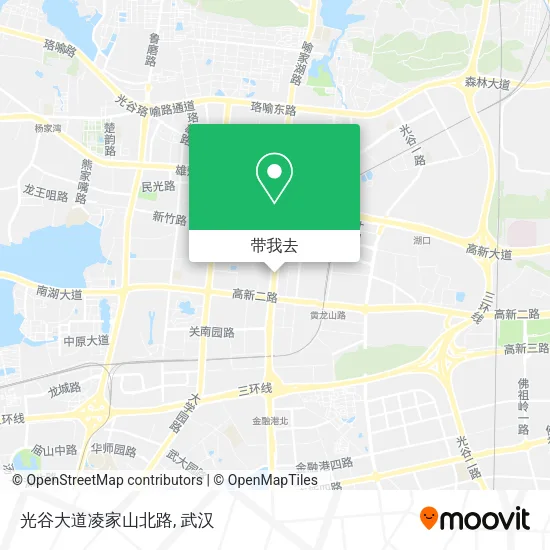 光谷大道凌家山北路地图
