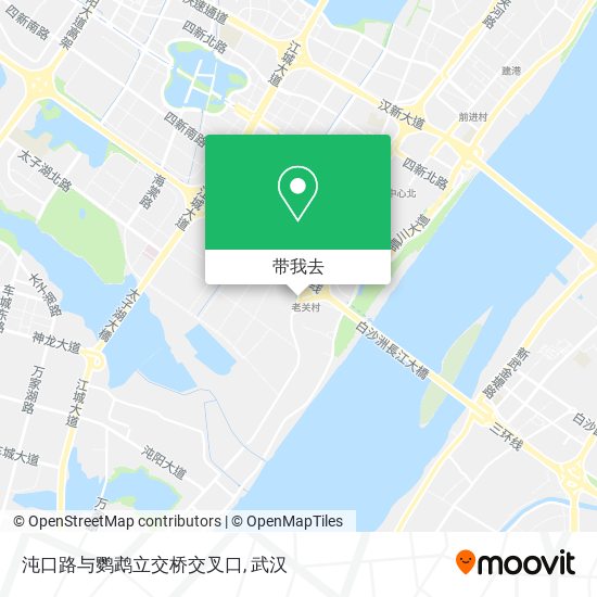 沌口路与鹦鹉立交桥交叉口地图