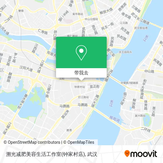溯光减肥美容生活工作室(钟家村店)地图
